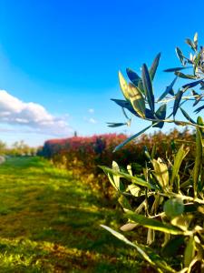 Maison entière Uzès 2 chambres et pas 3 chambres