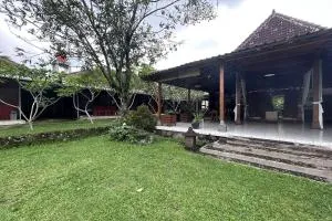 Carla Garden - Balong