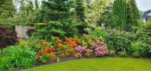 SIMA - RELAX, Žilina