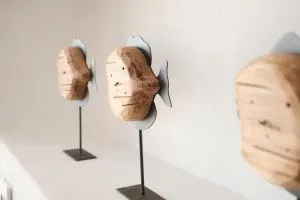 Villa Estrella - Teseguite