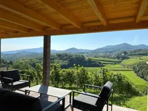 Wooden Cottage Baznik with Hot Tub - Cerklje ob Krki