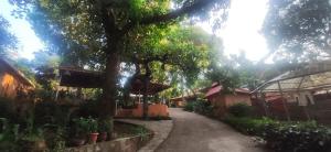 Dhyana Bindhu Home Stay