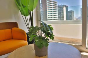 HOM I Nuevo 1D con vista en Marchant Pereira Nunoa