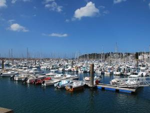 Maisons de vacances Maison 3* a Trebeurden: jardin clos, 2 chambres, proche plage et sentiers - FR-1-542-46 : photos des chambres