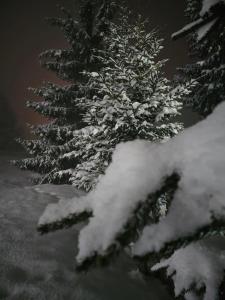 Vila Holiday - Golija