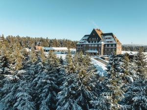 Naturhotel Sachsenbaude Oberwiesenthal - Indoor-Pool & Outdoor-Whirlpool