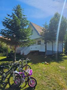 Vila Holiday - Golija