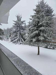 Vila Holiday - Golija