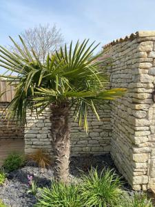 Maisons de vacances Charming house - Grand Village Plage : photos des chambres