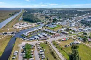 Everglades Gator at Roland - Pool Side- Lake Side - Pahokee