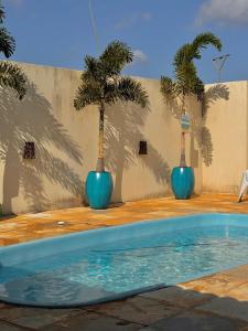 Palmeira’s du Vento