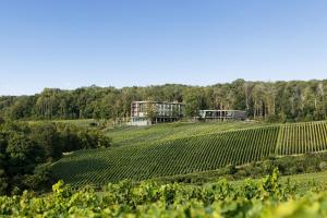 Hotels LOISIUM Wine & Spa Hotel Champagne : photos des chambres