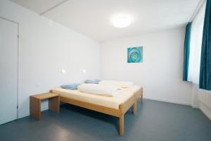 Schwendihaus Apartment
