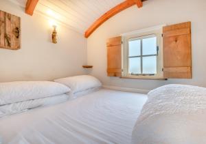 Maes Shepherds Hut