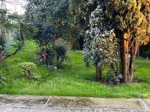 Monolocale con Vista Giardino