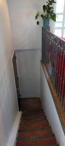 Charmant appartement Avignon et Parking