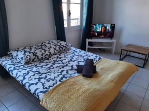 Appartements Le beau 25 Republique : photos des chambres