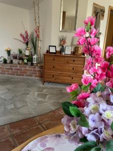 Wellness soba Skriti raj Banovci