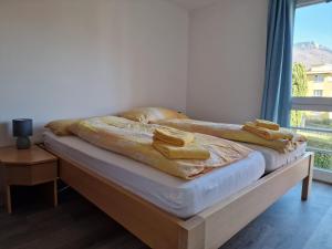 Minusio-Locarno, Casa Luisiana