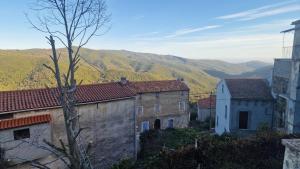 Maisons de vacances Montagne CORSE : photos des chambres