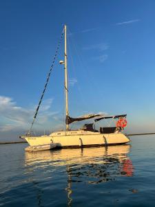 Houseboat - Faro in Ria Formosa