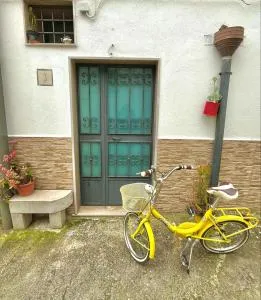 Patanella Wine - Banzi