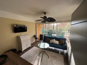 Ever green Bay - Gorbio