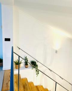 Bright and cozy duplex in the heart of Malaga