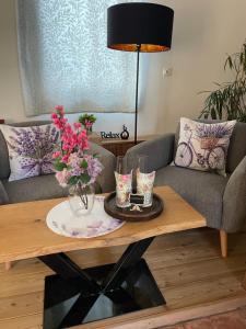 Wellness soba Skriti raj Banovci