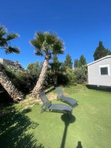Mobi Home Palmiers 2
