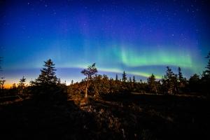 Kelo 24, kahden makuuhuoneen kelomökki Syötteellä, valaistun ladun vieressä