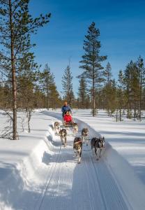 Kelo 24, kahden makuuhuoneen mökki Syötteellä