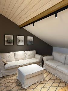 Kurshu Mansards - Modern Loft