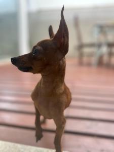 Casa Caborê, Paraty-RJ