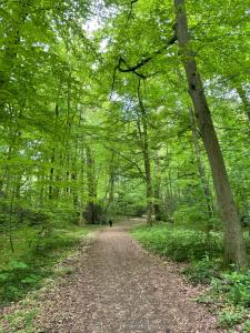 Ferienapartment Am Urwald