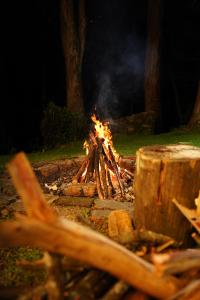 Golden Cherry Homestay