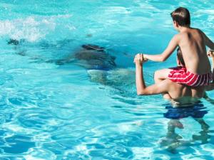 Appartements Apartment Grand Balcon- Piscine et proche du Port by Interhome : photos des chambres