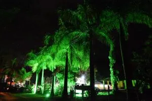 Tangaras da Serra - 马卡埃