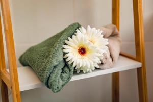 Appartements Studio with Terrace - Train Station 2 min away : photos des chambres