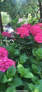 Αρχοντικό Πρεπάλα