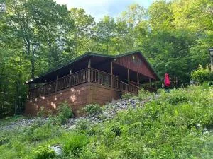 2 Bedroom Mountain Cabin in the Berkshires, Hike, Flyfish, Zipline and more - 威廉斯敦