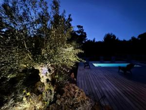 Dépendance avec piscine et spa partagés - plage 130 m