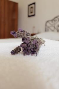 Locanda Li Manni img54