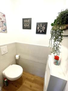Appartements Le Duplex des Maisons du Ried : photos des chambres