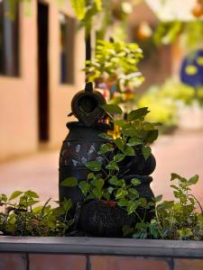 Hotel Villa Esmeralda - Ubytování bez kategorie ve městě Tuxtla Gutiérrez