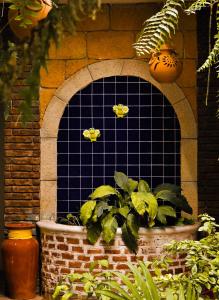 Hotel Villa Esmeralda