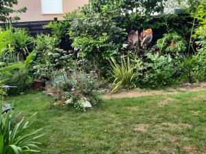 Maison tranquille dans centre ville