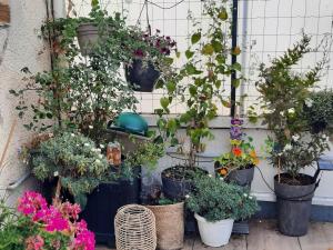 Maison tranquille dans centre ville