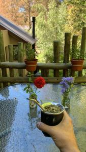 Departamento Los Helechos - Patagonia Alojamientos