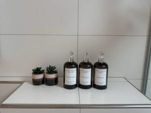 Haus Zum Park - The apartment